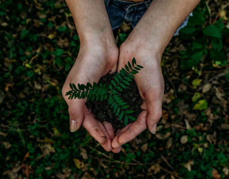 noah-buscher-x8ZStukS2PM-unsplash-scaled.jpg